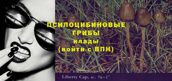 трава Баксан